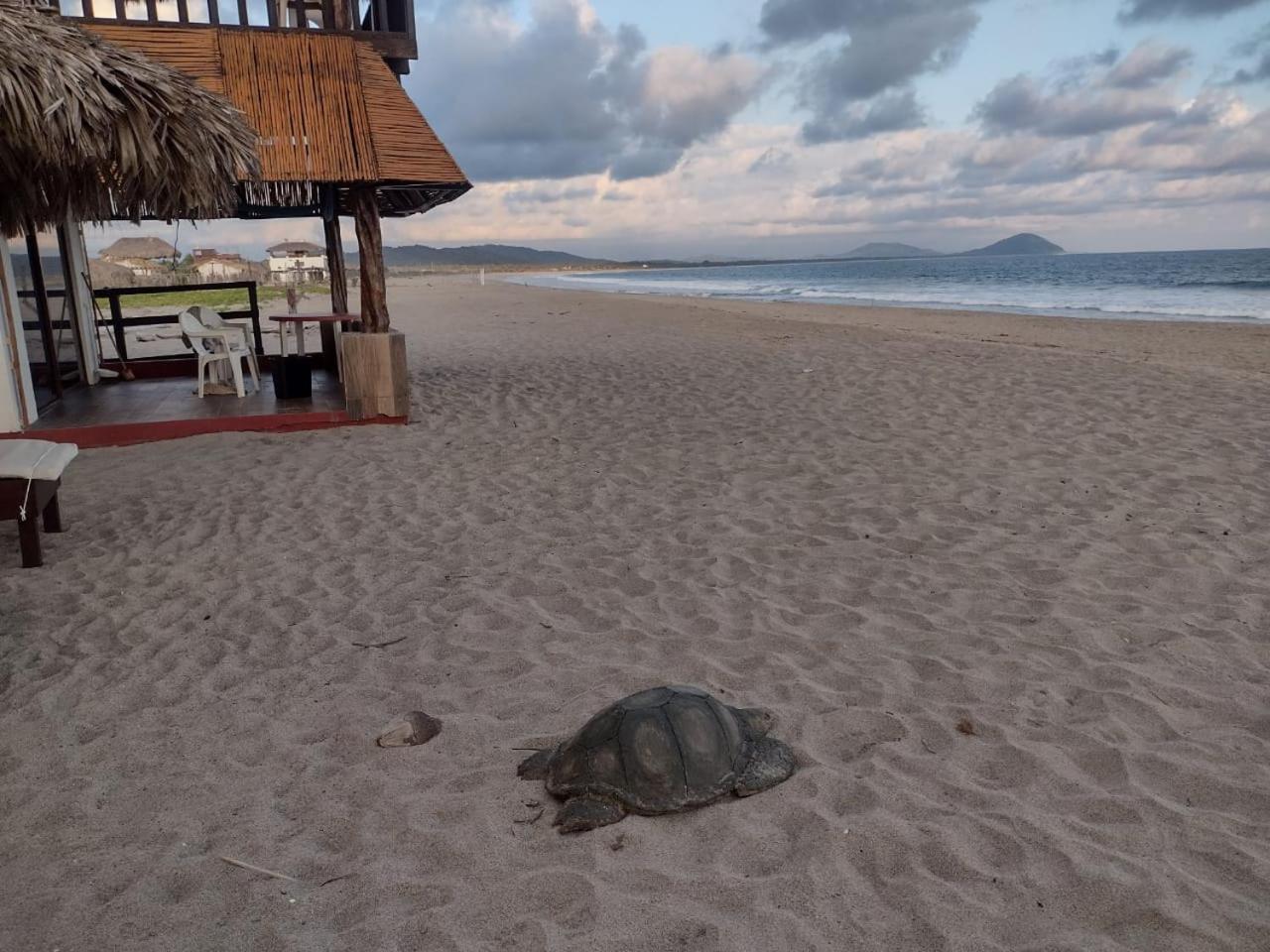 Cabanas Alta Mar Guayabas Kültér fotó